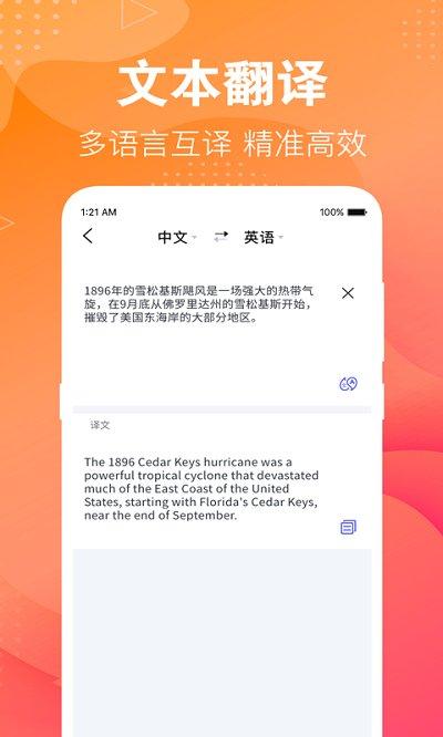 专业翻译软件下载,专业翻译,翻译app